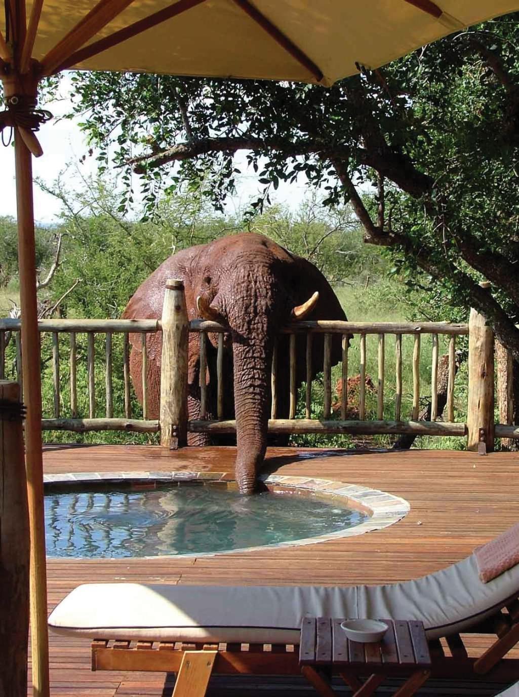Etali Safari Lodge Заповедник Мадикве Экстерьер фото